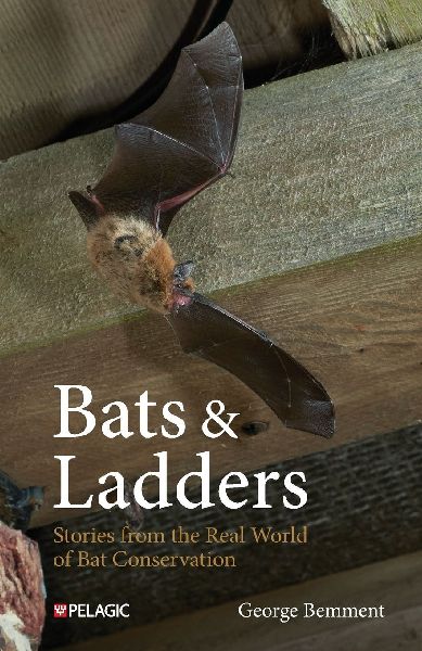 Bats & Ladders: Stories from the Real World of Bat Conservation