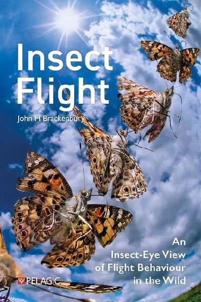 Insect Flight: An Insect-Eye View of Flight Behaviour in the Wild