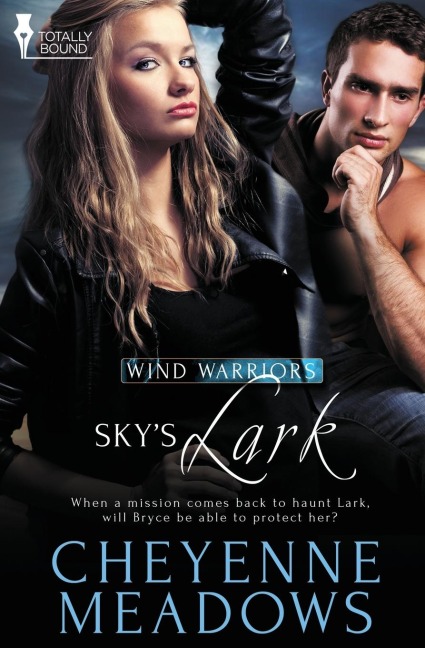 Wind Warriors: Skys Lark