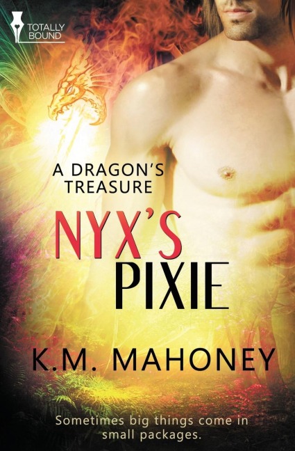 A Dragons Treasure: Nyxs Pixie