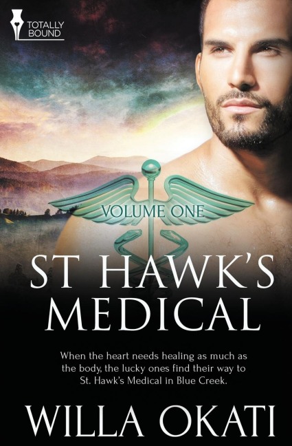 St. Hawks Medical: Vol 1