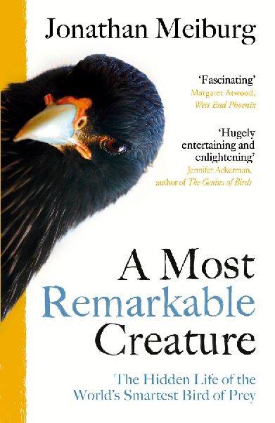 A Most Remarkable Creature: The Hidden Life of the Worlds Smartest Bird of Prey