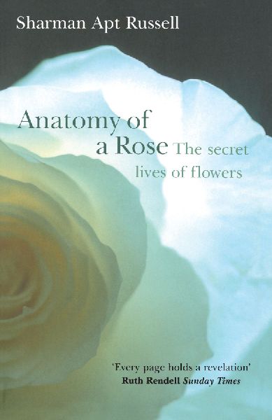 Anatomy Of A Rose