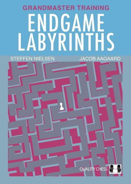Endgame Labyrinths: Grandmaster Training