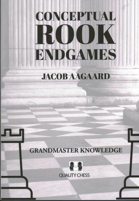 Conceptual Rook Endgames: Grandmaster Knowledge