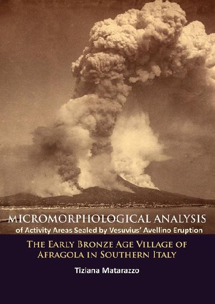 Micromorphological Analysis of Activity Areas Sealed by Vesuvius Avellino Eruption: The Early Bronze Age Village of Afragola in Southern Italy