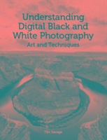 Understanding Digital Black and White Photography: Art and Techniques
