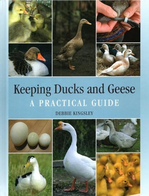 Keeping Ducks and Geese: A Practical Guide