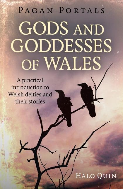 Pagan Portals - Gods and Goddesses of Wales: A practical introduction to Welsh deities and their stories