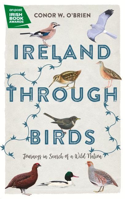 Ireland Through Birds: Journeys in Search of a Wild Nation
