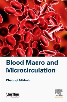 Blood Macro- And Microcirculation