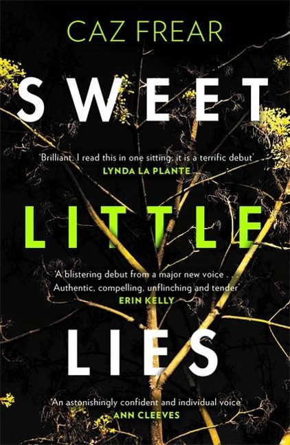 Sweet Little Lies: The most gripping suspense thriller youll read this year