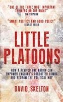 Little Platoons: How a revived One Nation can empower Englands forgotten towns and redraw the political map