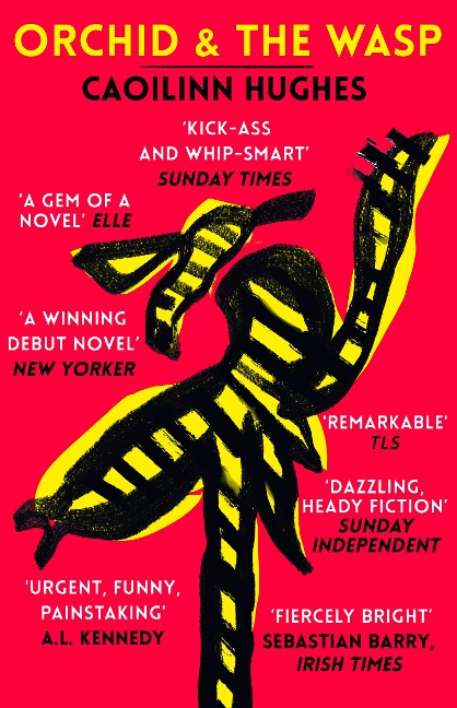Orchid & the Wasp: This years Conversations with Friends Irish Times