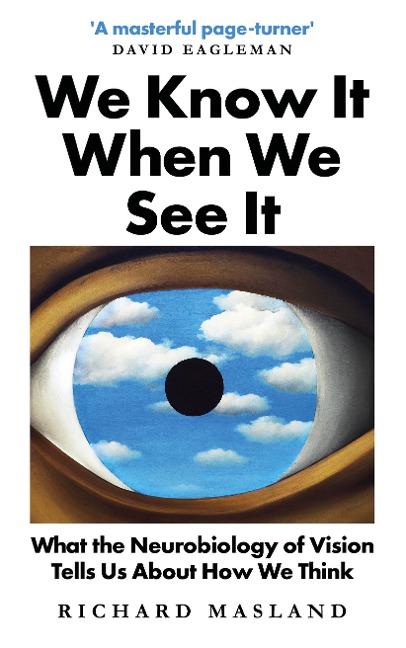 We Know It When We See It: What the Neurobiology of Vision Tells Us About How We Think