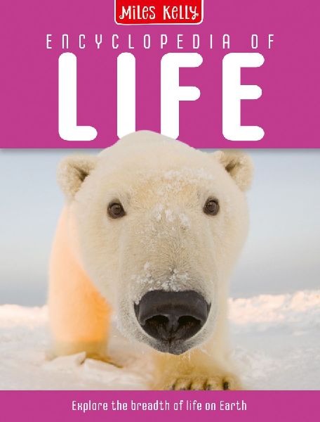 ENCYCLOPEDIA OF LIFE FX
