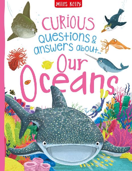 OCEANS_CURIOUS QUESTIONS & HB