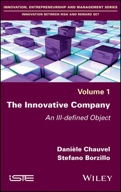 The Innovative Company: An Ill-Defined Object
