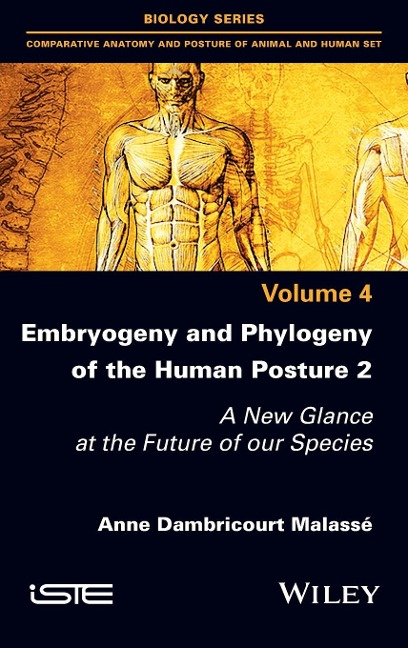 Embryogeny and Phylogeny of the Human Posture 2: A New Glance at the Future of Our Species