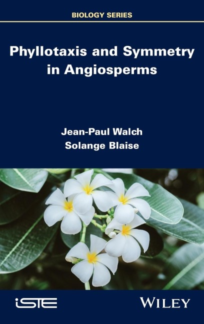 Phyllotaxis and Symmetry in Angiosperms