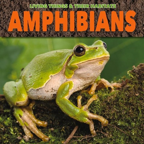 Amphibians