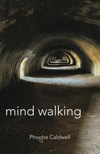 Mind Walking