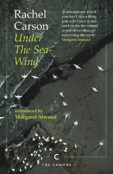Under the Sea-Wind
