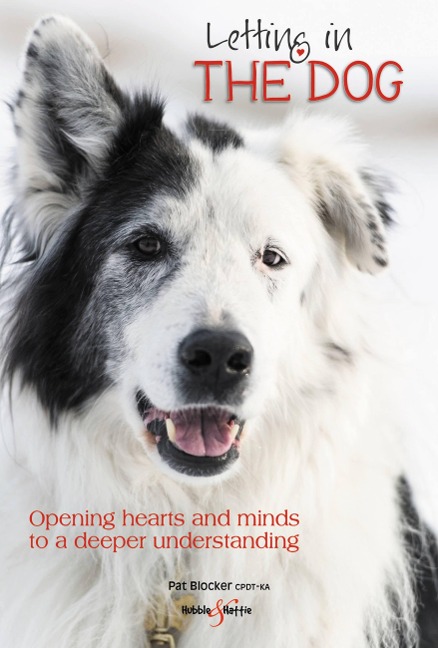 Letting in the Dog: Opening Hearts and Minds to a Deeper Understanding