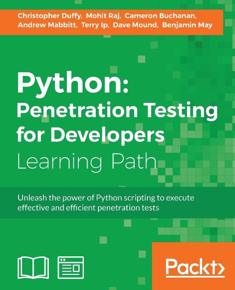 Python: Execute effective tests to identify software vulnerabilities