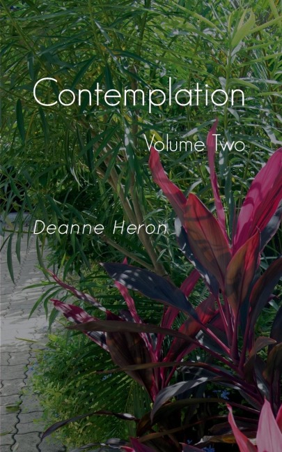 Contemplation: Volume Two