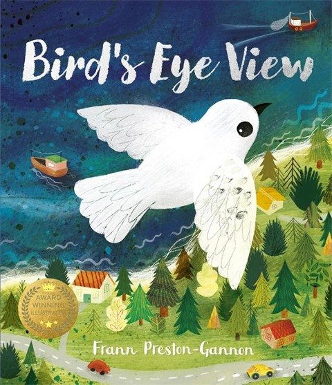 Birds Eye View