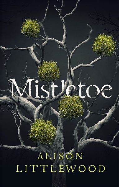 Mistletoe: The perfect read for frosty nights HEAT