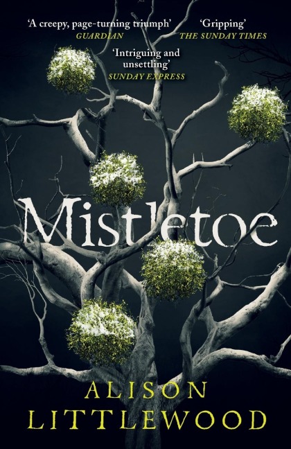 Mistletoe: The perfect read for frosty nights HEAT