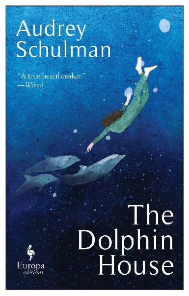 The Dolphin House: A moving novel on connection and community