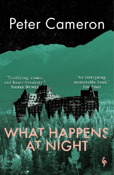 What Happens at Night: A novel