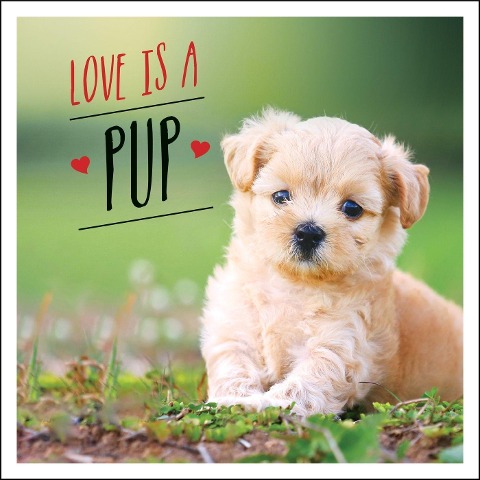 Love Is a Pup: A Dog-Tastic Celebration of the Worlds Cutest Puppies