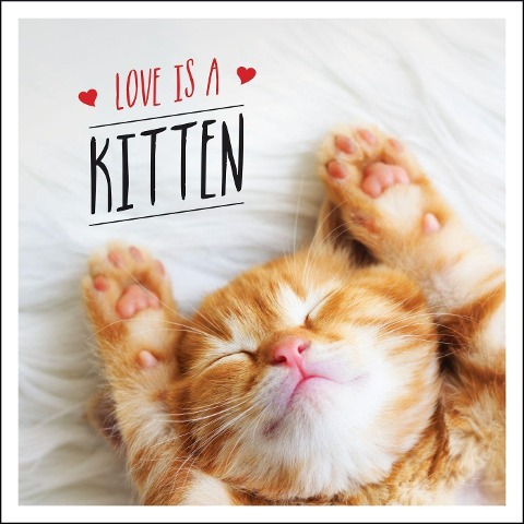Love Is a Kitten: A Cat-Tastic Celebration of the Worlds Cutest Kittens