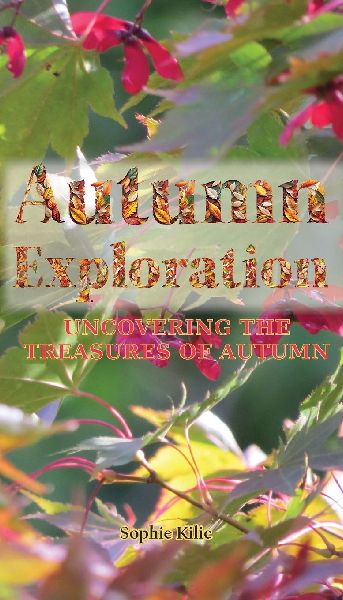 Autumn Exploration: Uncovering the Treasures of Autumn