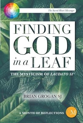 Finding God in a Leaf: The Mysticism of Laudato Si