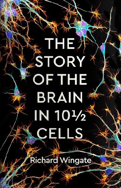 The Story of the Brain in 10½ Cells