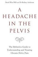 A Headache in the Pelvis: The Definitive Guide to Understanding and Treating Chronic Pelvic Pain