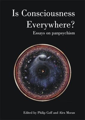 Is Consciousness Everywhere?: Essays on Panpsychism