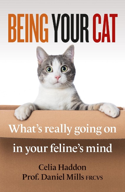 Being Your Cat: Whats really going on in your felines mind