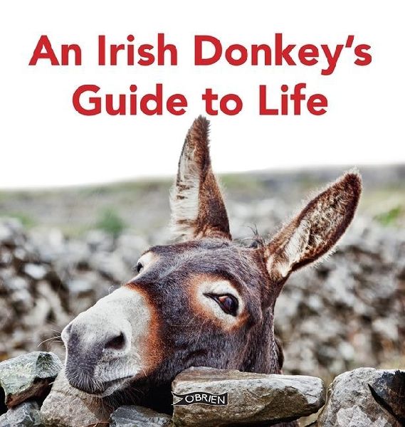 An Irish Donkeys Guide to Life