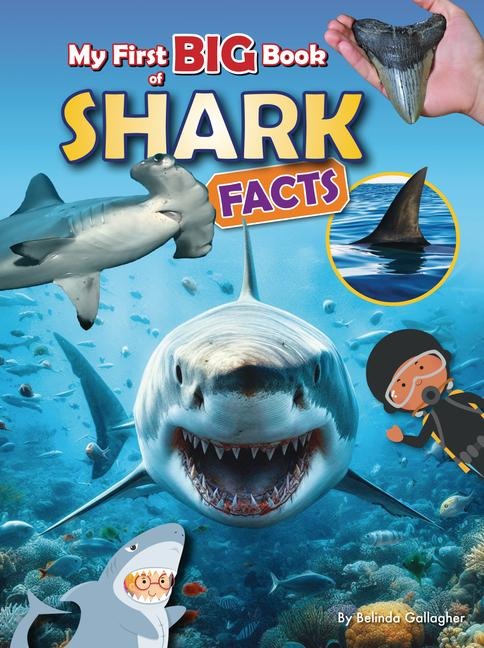 My First Big Book of Shark Facts