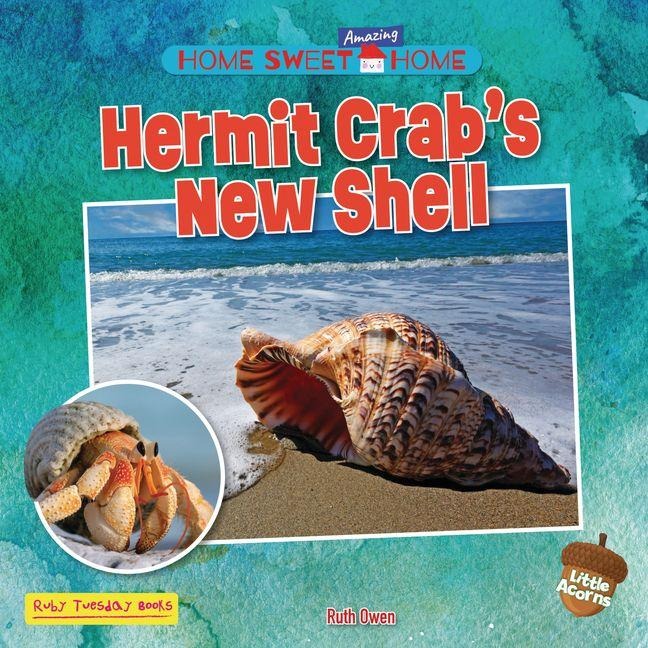 Hermit Crabs New Shell