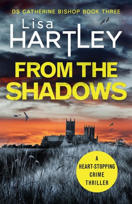 From the Shadows: A heart-stopping crime thriller