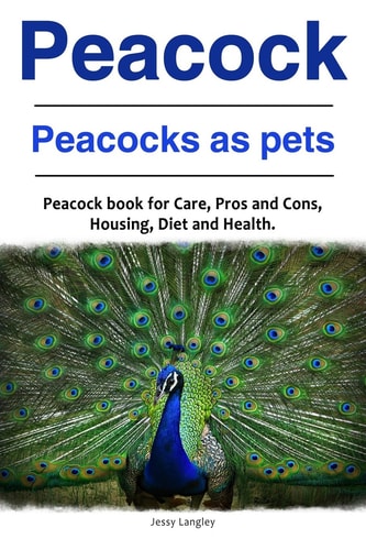 Peacock. Peacocks as Pets. Peacock Book for Care, Pros and Cons, Housing, Diet and Health.
