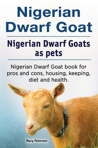 Nigerian Dwarf Goat. Nigerian Dwarf Goats as Pets. Nigerian Dwarf Goat Book for Pros and Cons, Housing, Keeping, Diet and Health.