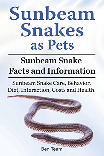 Sunbeam Snakes as Pets. Sunbeam Snake Facts and Information. Sunbeam Snake Care, Behavior, Diet, Interaction, Costs and Health.